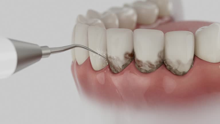 Reliable Dental contractor in South Park, WY by Dentist Open Now